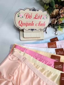 COMBO 5 - 10 Quần lót nữ Big size thun Lạnh siêu co dãn (Size 85 -110 Kg- Mã 3257)  Thoáng Mát Siêu Mịn  - Đồ Lót Quỳnh Anh