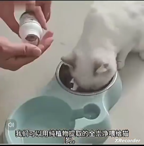 Hot Sale 【正品速发】 官方正品全崇净100片适口性好猫咪狗狗爱吃体内外驱虫免掰嘴硬塞Official genuine Quanchongjing 100 tablets with good palatability20241107 COD