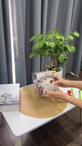 Máy Xay Tỏi Ớt Mini Kailer – Cối Xay Kéo Tay Tiện Lợi Nhựa Cao Cấp Lưỡi Inox Bền