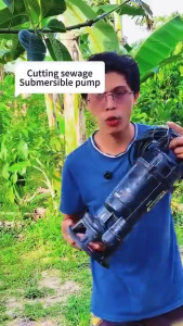 REAIM Cutting Sewage Pump Heavy Duty Submersible Water Pump High Lift 2HP 1800W Pure Copper Motor Booster Jet Pump Household Agricultural Irrigation