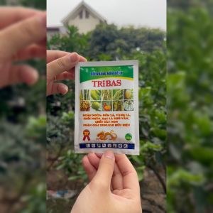 Chế Phẩm Nấm Đối Kháng Tribas 25gr Giúp Ngăn Ngừa Các Hiện Tượng Thối Rễ Vàng Lá Chết Cây Con - Hàng Chính Hãng