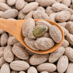 WENXIANGZAN | Large Kernel Cream Flavored Pumpkin Seeds 2.5kg