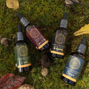 Bundle  | Mushroom & Herbal Tinctures