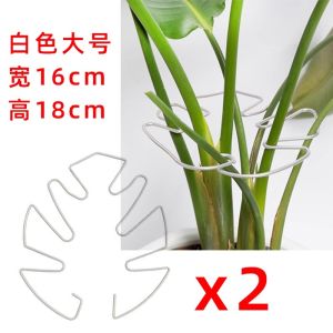 Stainless Steel Plant Support Stakes Anti- Water Cultivation Plants Fixed Device Foldable Frame Green Plant Flower Branch