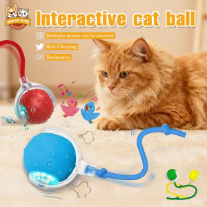 Rechargeable Interactive Cat Toys Ball Smart Motion Toy With Chirping Tail For Indoor Kitten And Cat