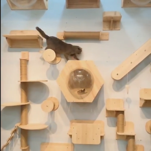 Cat House Cat bed Cat Scratching Board Cat Scratching Post Wall Mounted Solid Wood Cat Climbing Frame Cat Villa Cat Condo Cat Playground Cat Tree Cat Hammock Villa Cat Wall Shelf Cat Climbing Rack