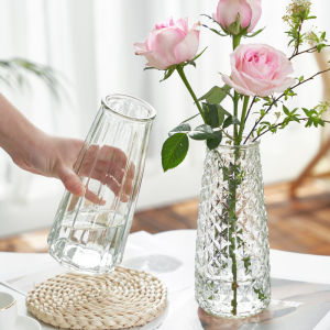Internet Celebrity Minimalist Modern Creative Glass Vase Transparent Hydroponic Plant Flower Arrangement Rose Lily Table Decoration Household