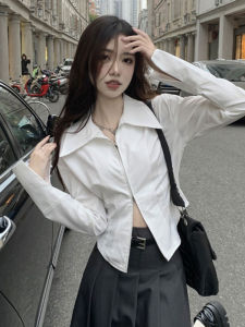 เสื้อเชิ้ตผู้หญิงสไตล์เกาหลีทรงเข้ารูป แขนยาว ปกแหลม ดีไซน์ซิป ทรงเข้ารูป ฤดูใบไม้ผลิและฤดูใบไม้ร่วง เสื้อเชิ้ตชั้นใน