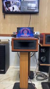 Loa Treble Kèn HM H250T 300W Thùng Gỗ (Giá 2 Cái) Có Phân Tần Loa Siêu Tép Rời Coil 250 - H2Pro