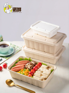 NUOXIAN | Disposable Eco-friendly Commercial-use Long Rectangle Pulp Takeaway Boxes