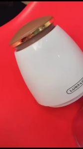 GOLDEN VIST Capsule Blender / Chopper Portable (Food Grade)