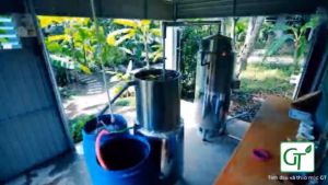 Tinh Dầu Sả Đuổi Muỗi - Sả Chanh Nguyên Chất Xông Phòng Đuổi Muỗi Hương Thơm Mát