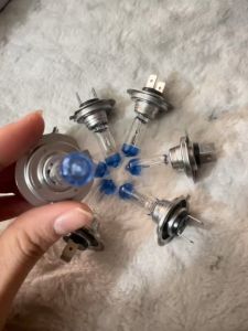 COMBO 10 bóng đèn pha ô tô bóng đèn Halogen H7-HCL đầu xanh siêu sáng. Điện 12v và 24v