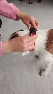 1PC Reflective Dog Collar with Buckle Adjustable Safety Nylon Collars for Small Medium Large Dogs