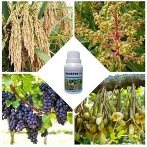 PUPUK BOOSTER 76 (100ML .250ML.) penyubur pelebat buah pembesar pelebat buah