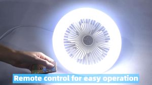 SOHO Ceiling Fan with Light 30W Fan Light Portable Ceilings Fan  With Remote Control AC Motor 5 Blades Cooling Fan For Bedroom Livingroom