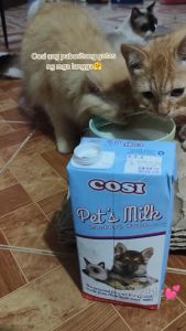 Expiration Date: November 2027 1L Cosi Pets Milk Lactose Free Dog Puppy Kitten Cat Adult All Stages Milk Pet Essentials and Supplements
