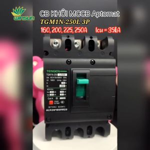 CB KHỐI MCCB Aptomat Tengen TGM1N-250L 3P 160~250A