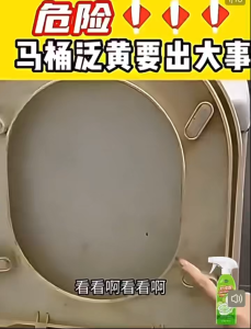 Foam Toilet Bowl Cleaner 泡沫洁厕剂 强力去污 除臭去黄 杀菌99% 茉莉清香 Bathroom Cleaner