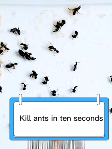 Ant Killer 500ml Strong Ant Spray Killer Powerful Safe And Non-Toxic Termite Killer Spray For Home Kill All Kinds of Ants