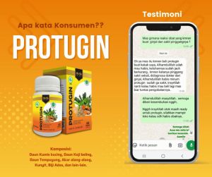 Protugin | Herbal Meluruhkan Batu Urin di Ginjal dan Kemih