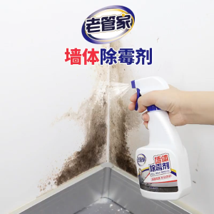 🇸🇬 ReadyStock - 500ml Wall Mold Remover Spray Mildew Removal Automatically Decompose and Remove Mold Household mildew stain remover / Stain and mold remover / Mold remover gel