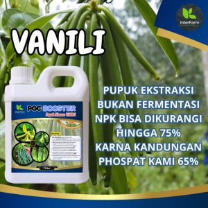 Pupuk Cair Booster Vanili Organik INTERFARM - Nutrisi Tinggi & Asam Humat