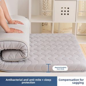 JIFANPAUL | Single Student Dormitory Tatami Sponge Pad Four Seasons