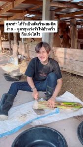 เพิ่มภูมิต้านทานให้สัตว์ ไคโตซานฟาสท์พลัส เซตส3ขวด ใช้ได้กับวัวหลังผสมพันธุ์ วัวท้อง วัวหลังคลอด วัวเลี้ยงลูก วัวขุน วัวพ่อพันธุ์ และได้ทุกช่วงทุกวัย