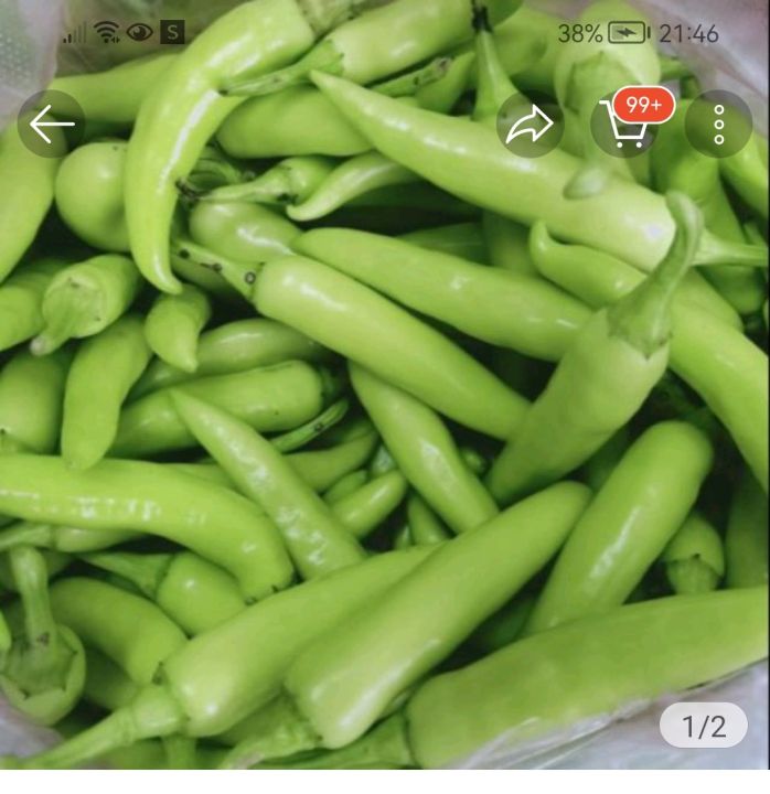 1KG ỚT SỪNG XANH ( ĐẶC SẢN HUẾ )