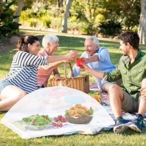 Insect Proof Food Mesh Cover Washable Dish Protector for Tables & Kitchen Folding Storage Bug Net