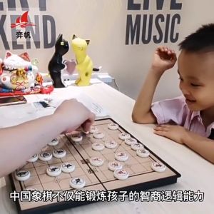 Magnetic Chinese Chess with Foldable Board Chess Size: 1.3cm For Students & Children Portable Chess Board Game *READY STOCK*