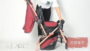 Baby Stroller Two Way Push Portable Folding High Landscape