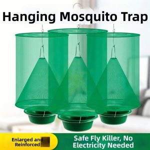 Insect Trap
