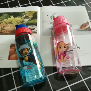 Tumbler For Kids With Straw Paw Patrol Water Bottle 500ml