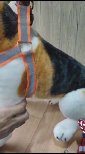 Pet Harness and Leash Dog Cat Tambang Reflective Tali Tuntun Anjing Kucing Harnes Hewan