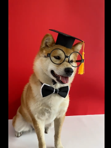 Pet Photography Doctoral Hat Graduation Season Suit Cat Dog Glasses Bow Tie Gentleman Party Dress-Up Props Felt Decoration