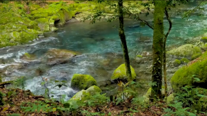 Xiaomi Youpin Solove F5 พัดลมตั้งโต๊ะ พัดลมไร้สาย พัดลมพกพา แบต 4000 mAh ปรับความแรง 3 ระดับ พัดลมแคมป์ปิ้ง