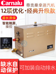 Carnalu Sauna Steam Generator Bathroom Home Use Steam Room Machine Fitness Health Care Equipment Sport Yoga Leisure Goods