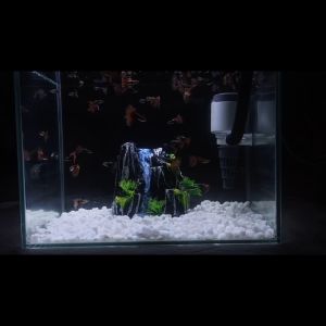 Tebing Batu Buatan (MODEL A) untuk Dekorasi Aquarium