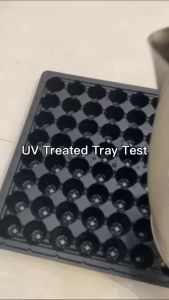 10 Pieces 128 Round Holes UV Treated Black NHD Apple Brand Standard Seeding Tray