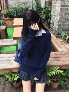 Shui Ji Zhong/Original JK Sweater Suit V Neck Pullover Business Attire Embroider Long Sleeves Knitwear Fall and Winter for Schools Sense