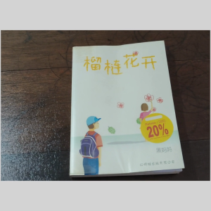 二手书 - 红蜻蜓青少年小说