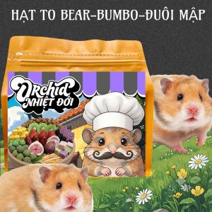 Thức Ăn Hamster Orchid Bản Hạt Lớn Nhiệt Đới Phù Hợp Dòng Bear - Dumbo - Dòng Tang To