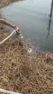 SHINING 300W 24V มอเตอร์ทองแดงบริสุทธิ์ แรงดันสูง สุขภาพและประสบการณ์ สามารถใช้แบตเตอรรี่ บาดาล ปั๊มน้ำ ปั๊ม บริสุทธิ์ ผิวพลาสติก