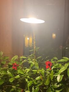 【In stock】Vimite Led  Hanging Solar Pendant Light 1/2 Head Indoor Ceiling Chandelier Lamp 3M Cable Outdoor Waterproof Automatic Sensor for Garden House Yard Gate Decorative lighting