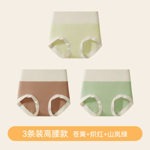 Warm Fleece Lined 100% Cotton Antibacterial High Waist Ladies Triangular Panties Breathable Comfortable Underwear for Autumn Winter