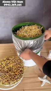 Máy làm giá đỗ tự động 2 ngăn Yoice Y-DYJ1 - Thơm ngon sạch sẽ dễ làm ngay tại nhà