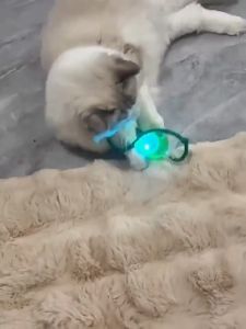 Smart Interactive Cat Toys: Enhancing Indoor Cat Training & Play