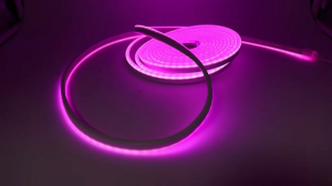 (8 สีให้เลือก) ไฟเส้นไฟแถบ LED นีออน แถบไฟยืดหยุ่น DC12V 5m แสงในร่มและกลางแจ้งไฟบ้านโคมไฟรถยนต์